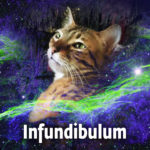 "Infundibulum" - New Album Available Now