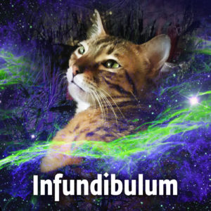 Infundibulum-Cover-Art